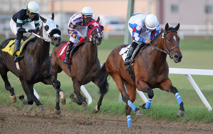 Horse Racing at Assiniboia Downs