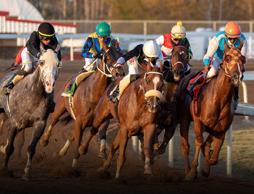 Century Mile Racetrack