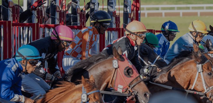 Horse Racing at Century Mile Racetrack