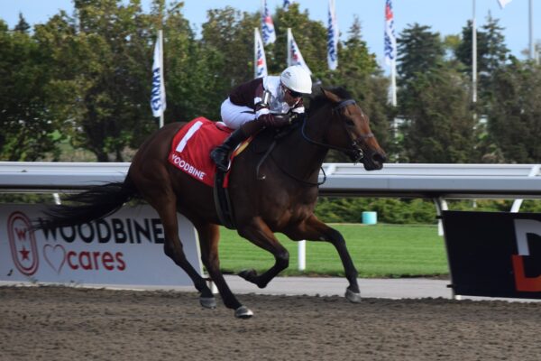 Luis Contreras - Jockeys Canada