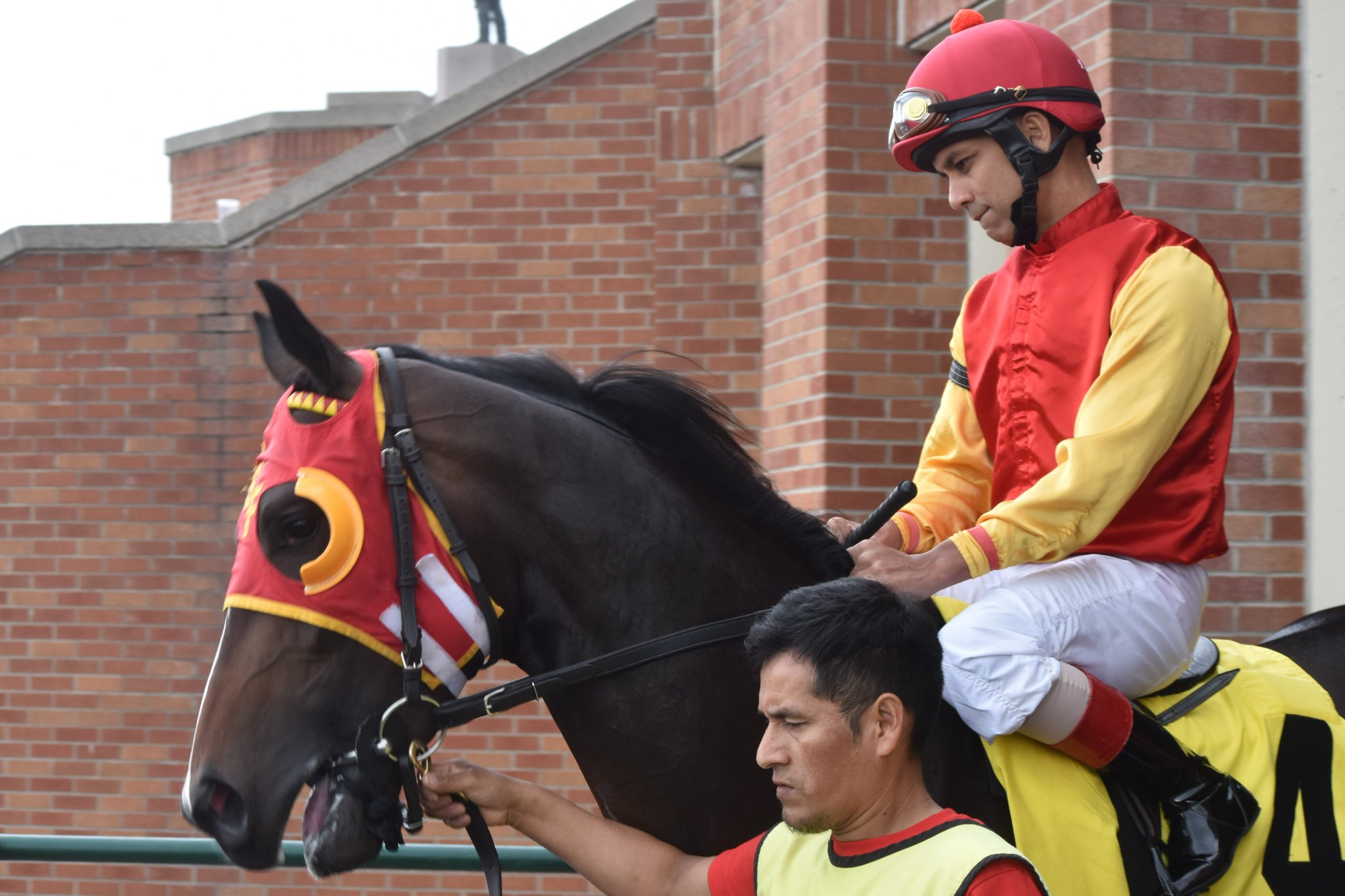 jockey-shaun-bridgmohan-001