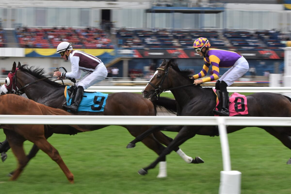 Slade Jones Jockeys Canada