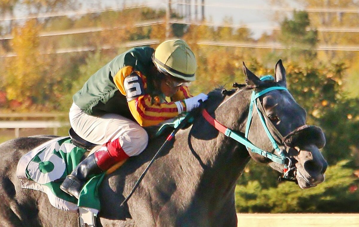 Emile Ramsammy - Jockeys Canada