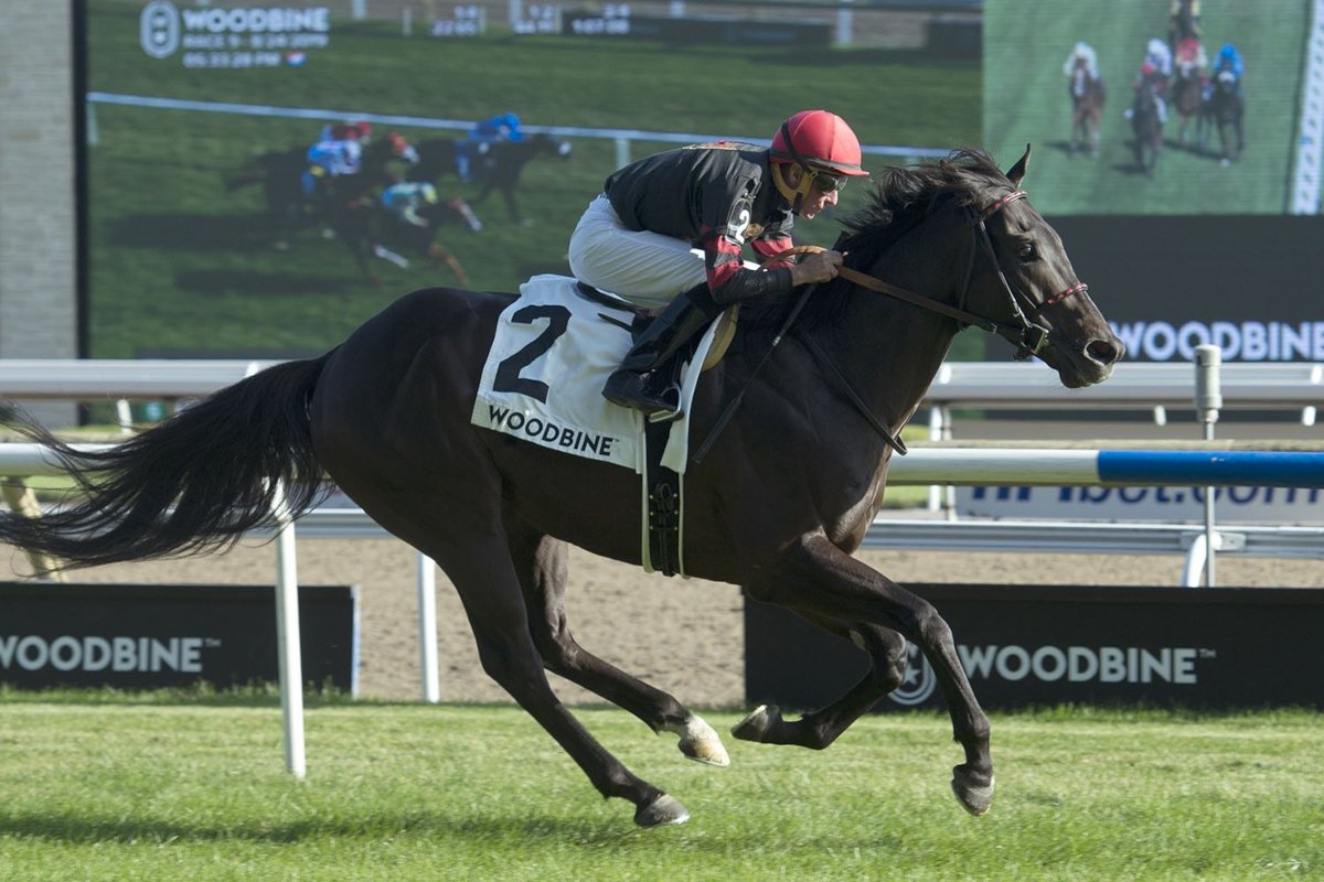 jockey-gary-boulanger-by-woodbine-001