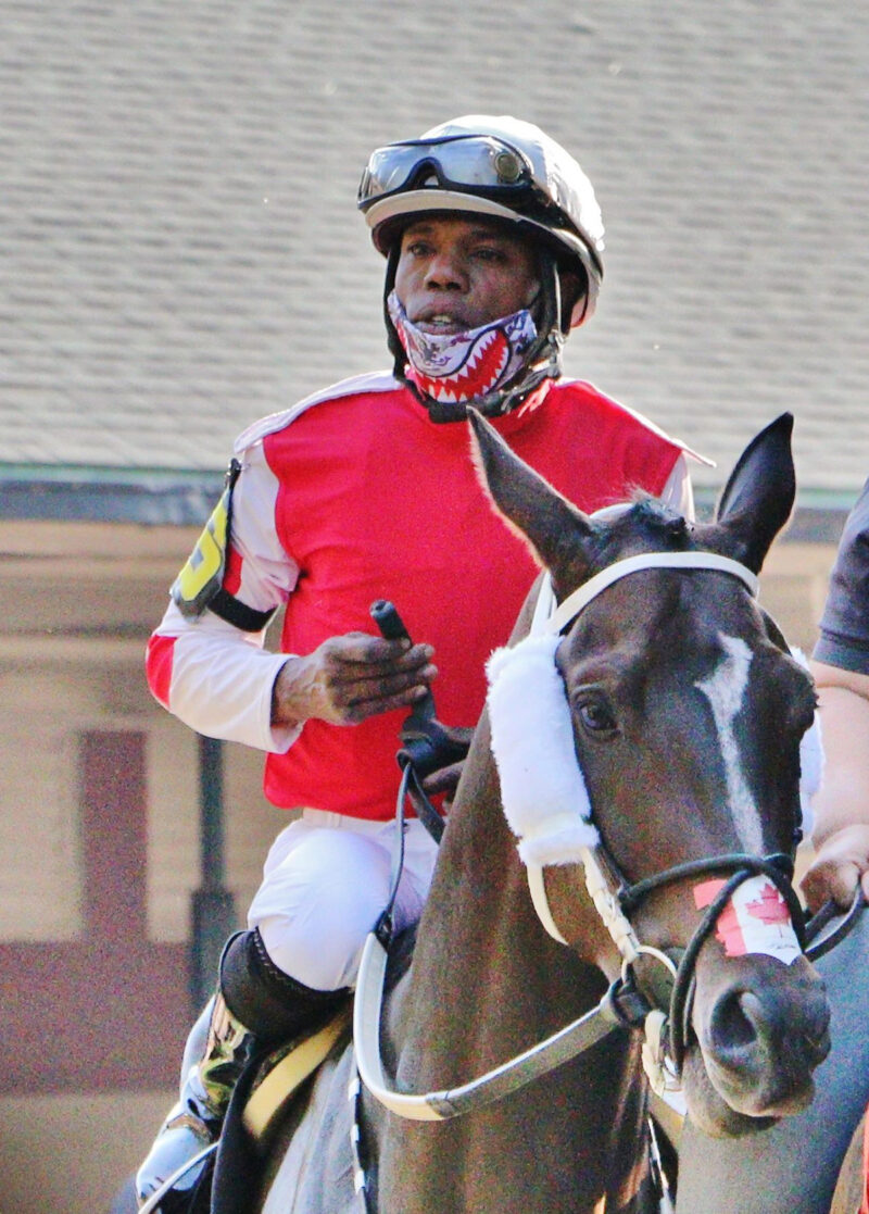Marklee buchanan jockeys canada
