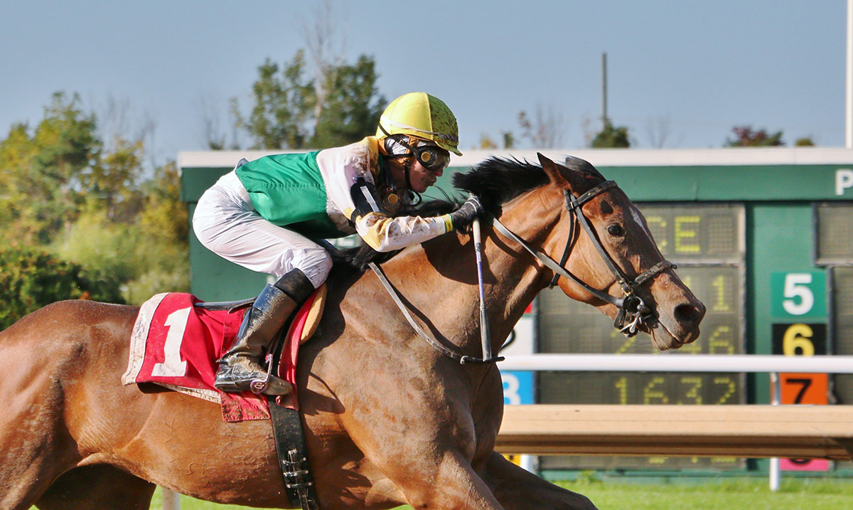 Jockey Nikki Alderson