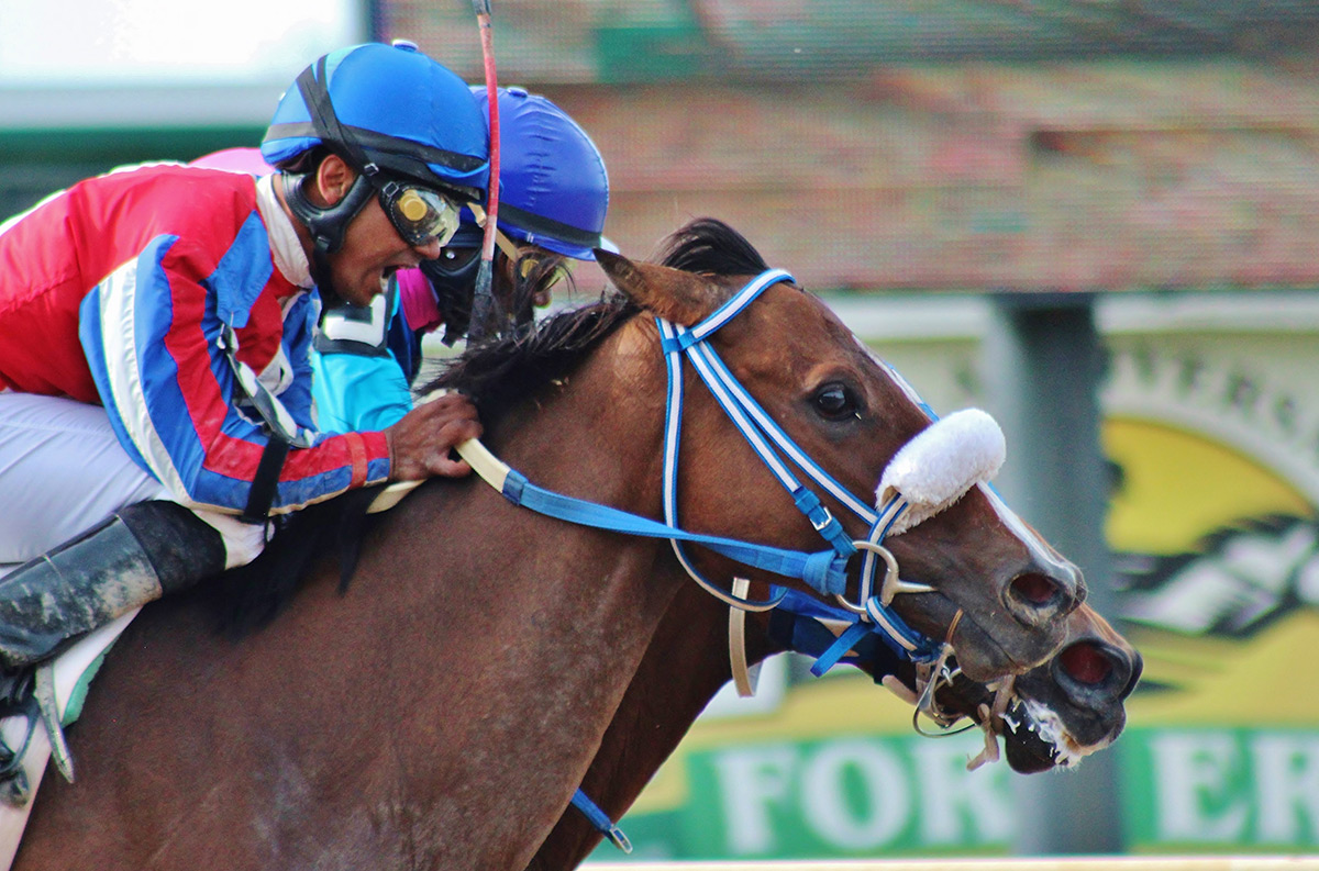 Jockey Sunny Singh