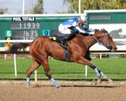 Jockey Leo Salles by Mary Jane Sibbitt of Niagara Exposure Photography